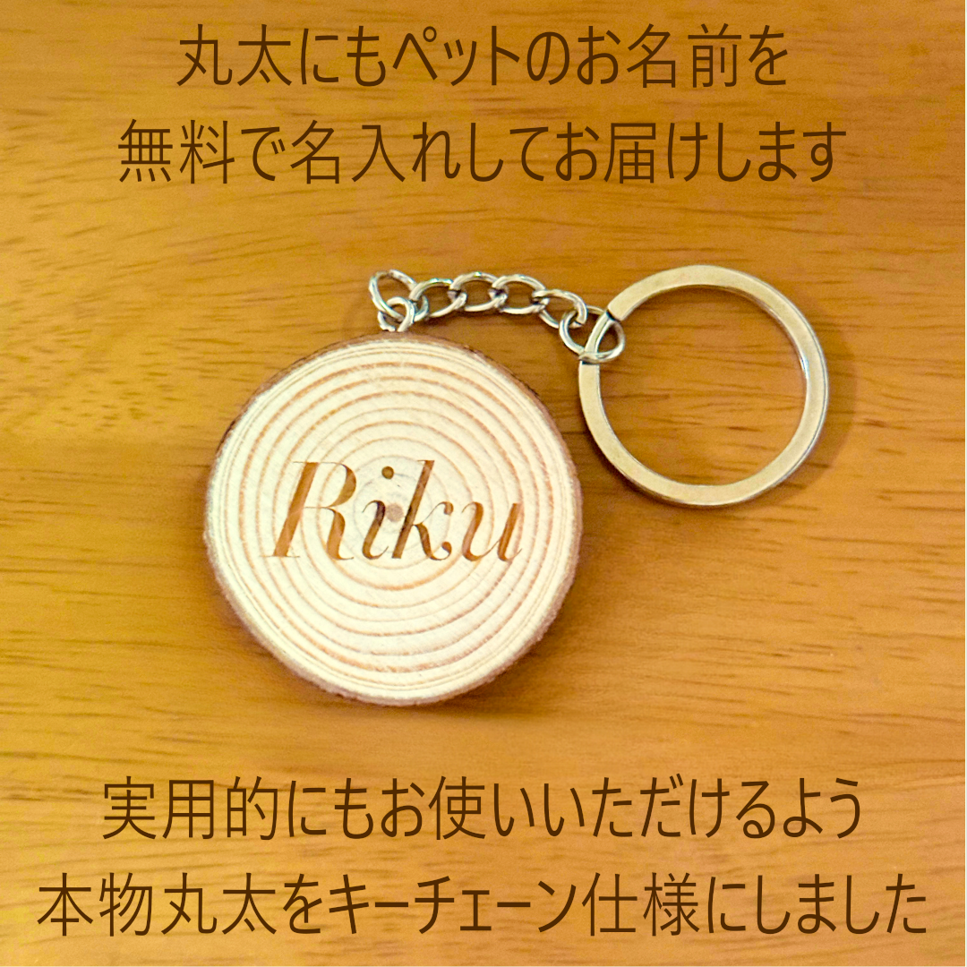 ペットと人の木の彫刻 + 名入れ丸太チャーム付き <名入れ無料> 木のインテリア
